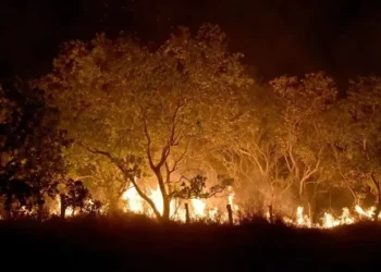 incêndios, focos, de queimada;