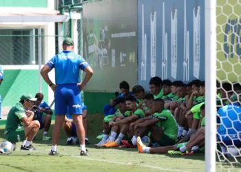 Verdão, equipe alviverde, time