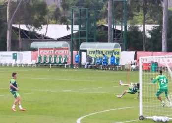 treino, atividade, prática