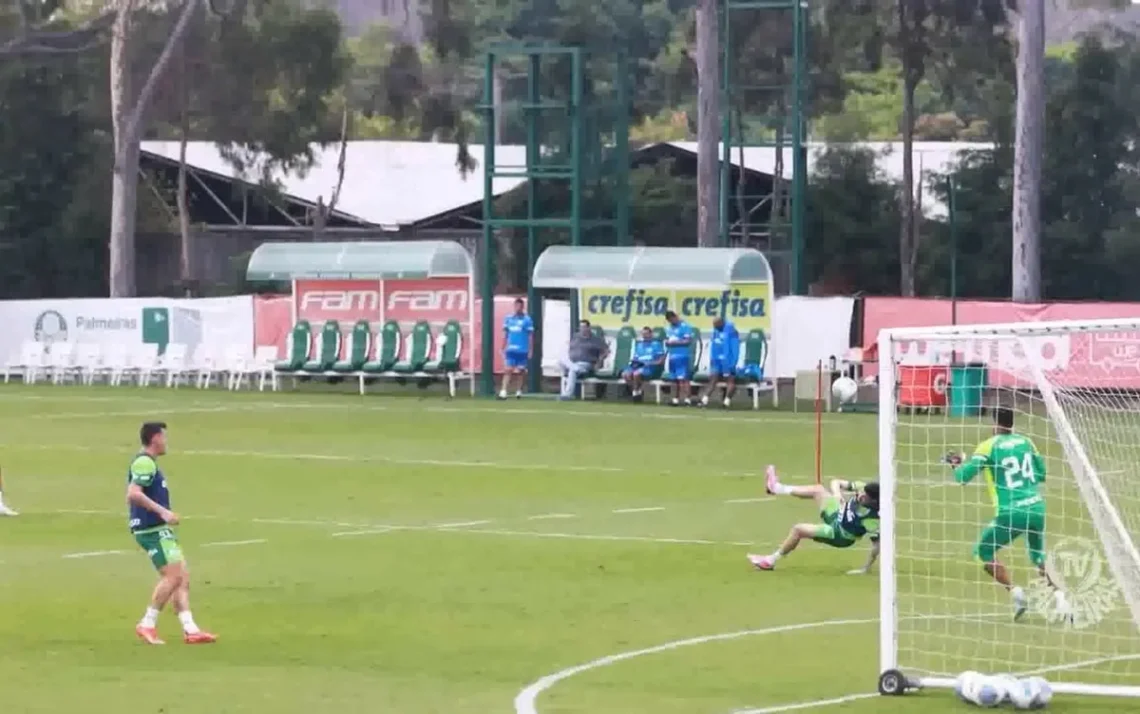 Verdão, time de futebol