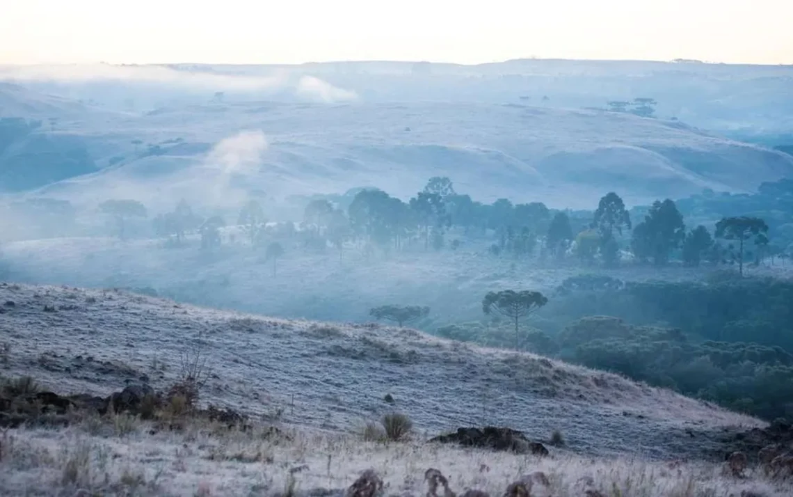 massa de ar frio, ar frio polar, geada