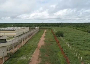 averiguação, apuração, pesquisa