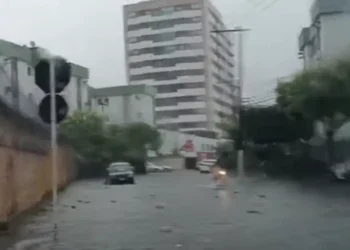 órgão de proteção civil, órgão de segurança pública, autoridade de defesa civil