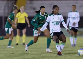 Campeonato Brasileiro feminino