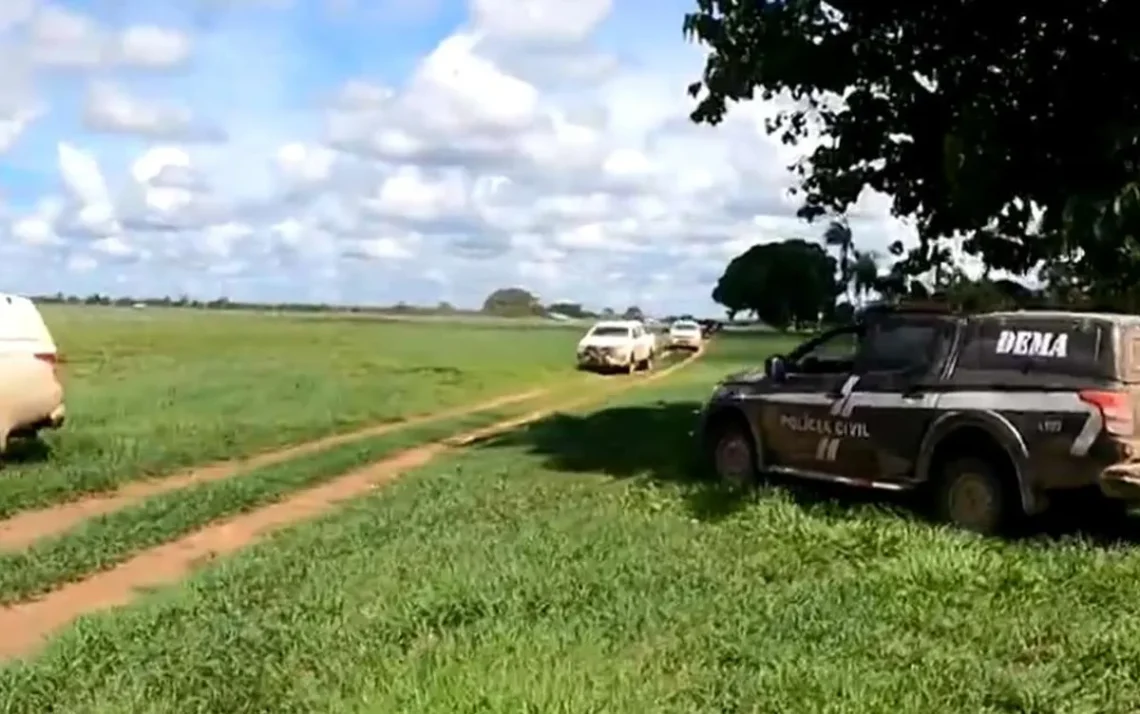 desmatamento ilegal, crime ambiental, devastação