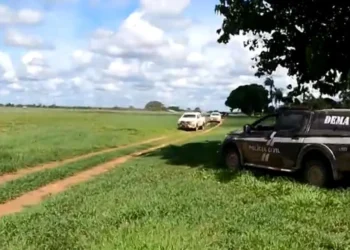 desmatamento ilegal, crime ambiental, devastação