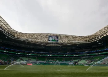 grupo de oposição, concorrente, Movimento Palmeiras Avante