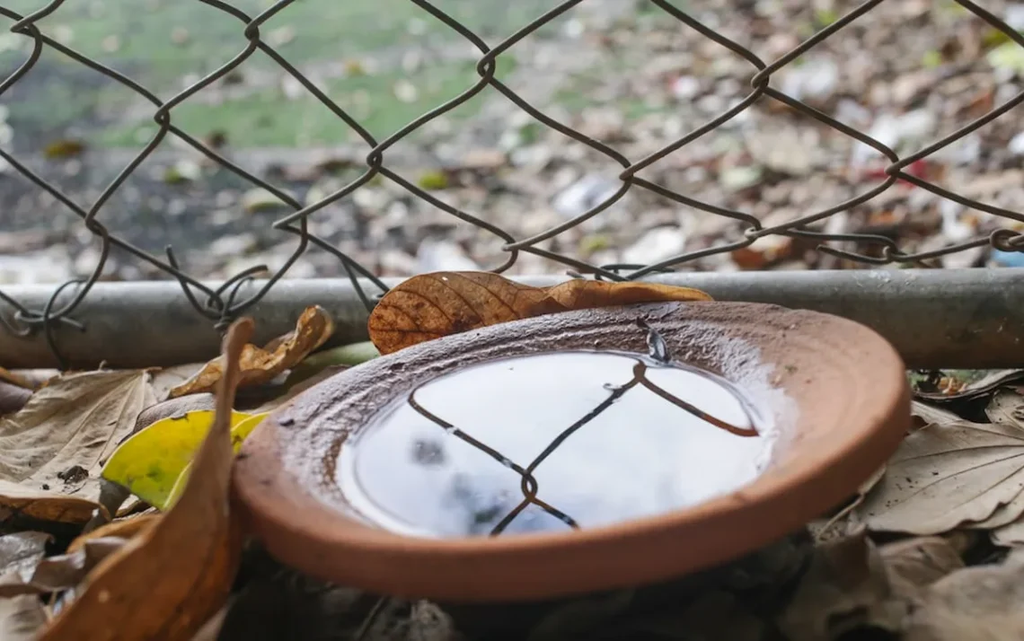 febre hemorrágica, doença do mosquito