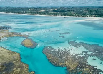 praia de Maragogi, litoral de Maragogi, litoral alagoano