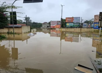 ocorrências relacionadas às chuvas;