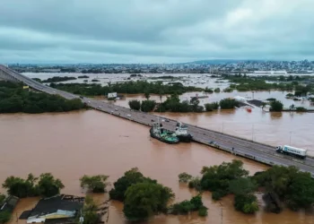 nove, estados, região, Consórcio, Nordeste, grupos;