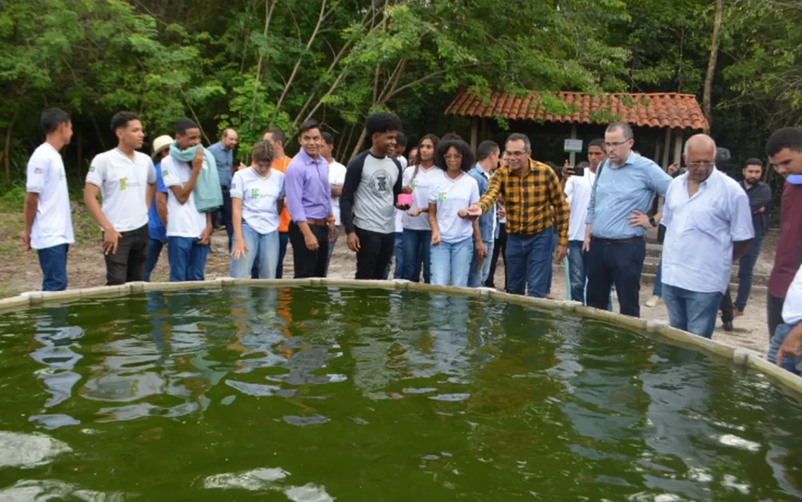 projeto, de combate, à fome