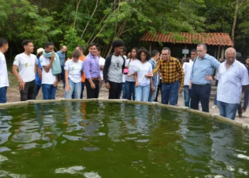 projeto, de combate, à fome