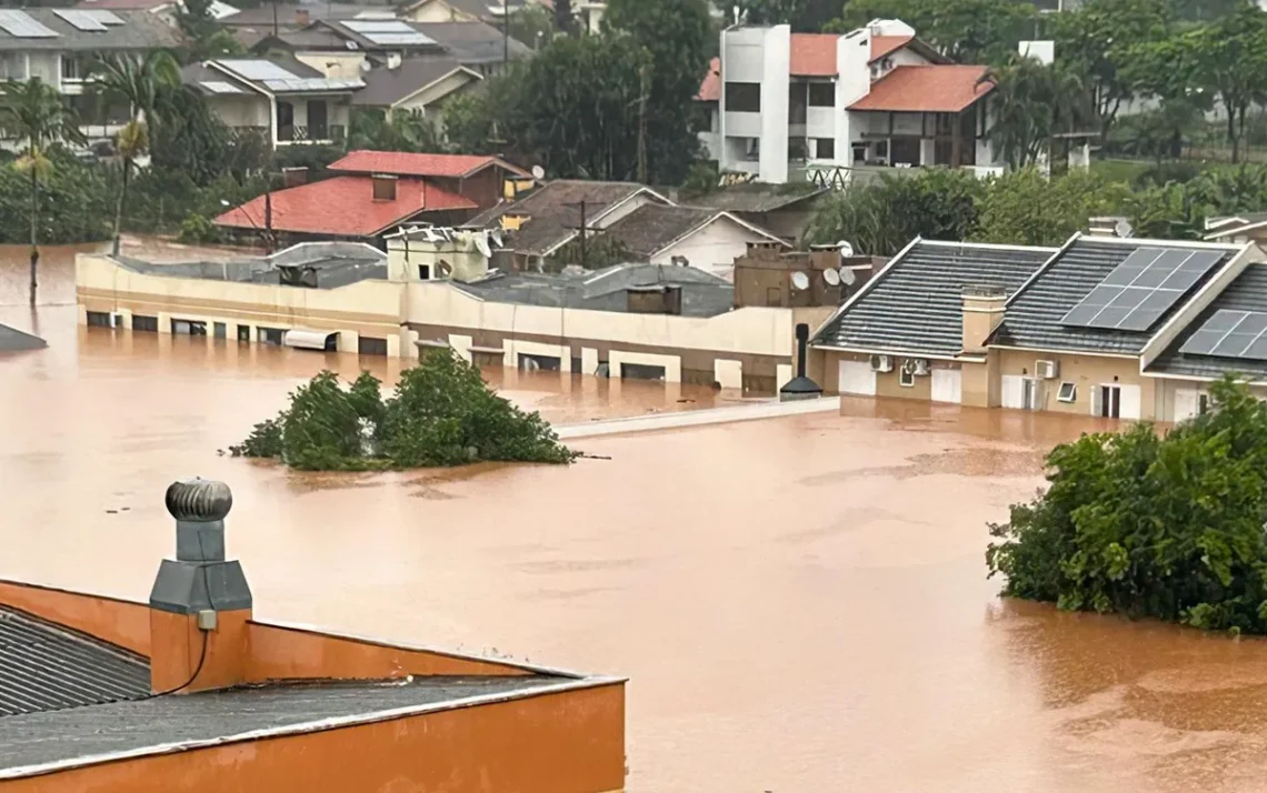 reparação, reabilitação, recuperação;