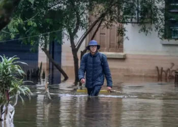 precauções, proteção, segurança;