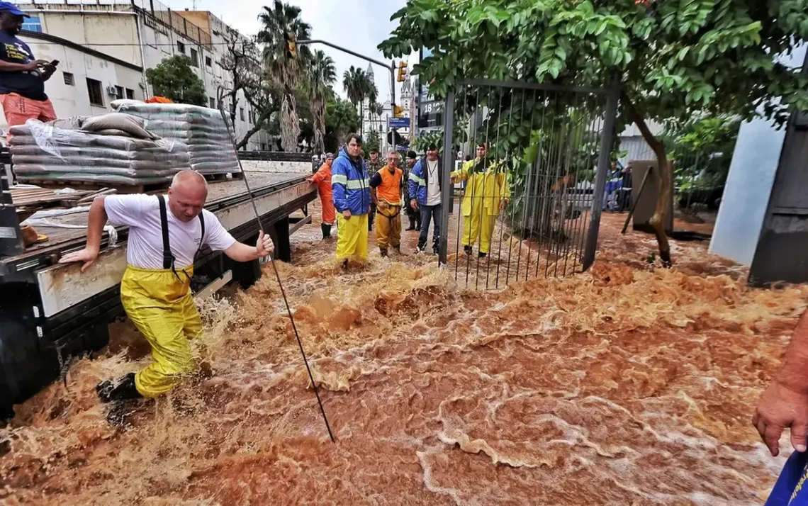 ativas, industriais, de produção, da região, listadas na B3, de carnes.