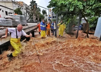 ativas, industriais, de produção, da região, listadas na B3, de carnes.