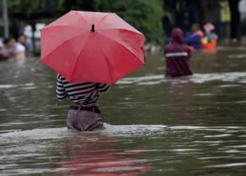 doença infecciosa, bactéria causadora, contaminação.