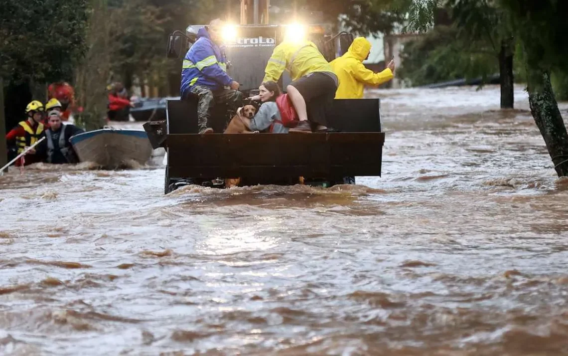 óbitos, fatalidades;