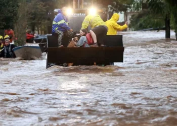 óbitos, fatalidades;