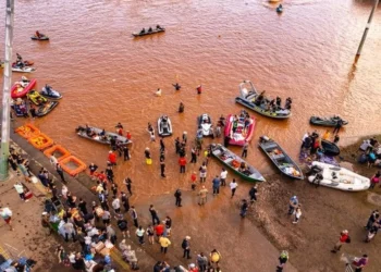 donos de barcos;