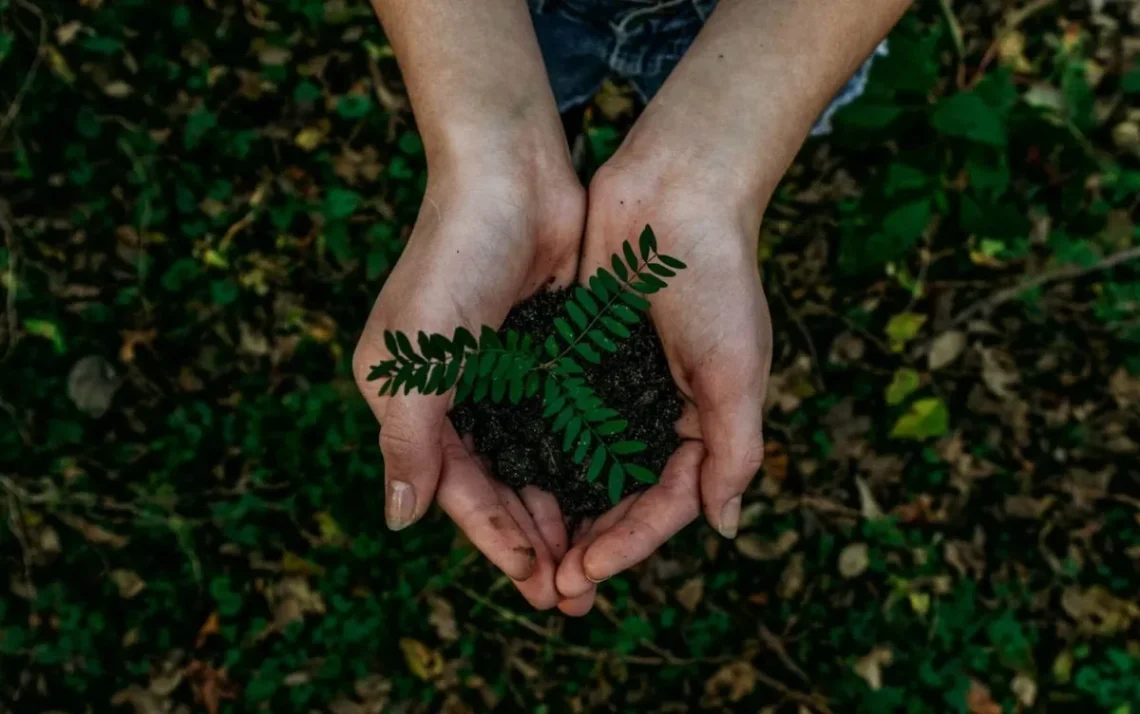 neutralizar, emissões de, carbono, compensar, as emissões, de CO2, reduzir, a emissão, de carbono;