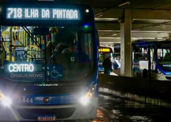 coletivo, transporte, público;