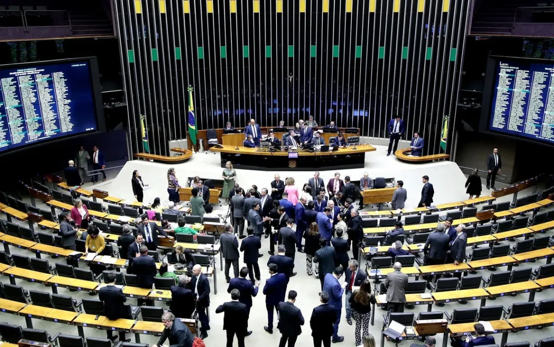 Plano Nacional de Educação, PNE;