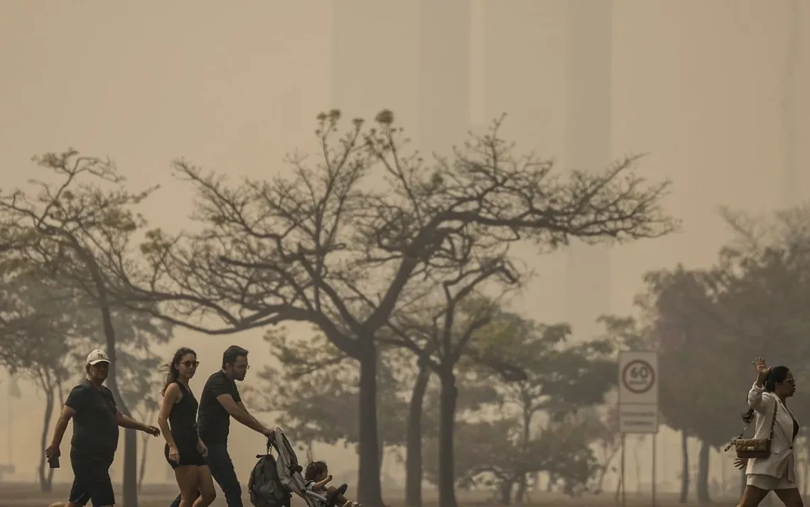 neblina, poluição, externa;