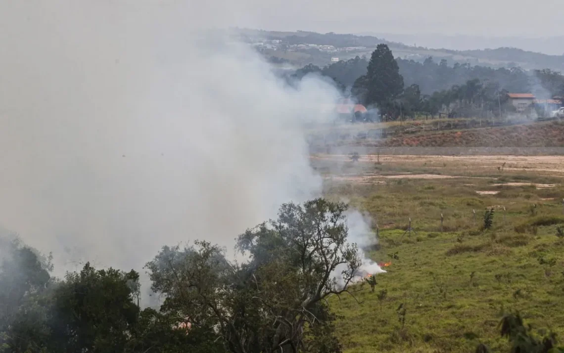 focos, queimadas, queimadas criminosas, incêndios criminosos, criminosos;