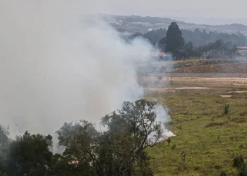 focos, queimadas, queimadas criminosas, incêndios criminosos, criminosos;