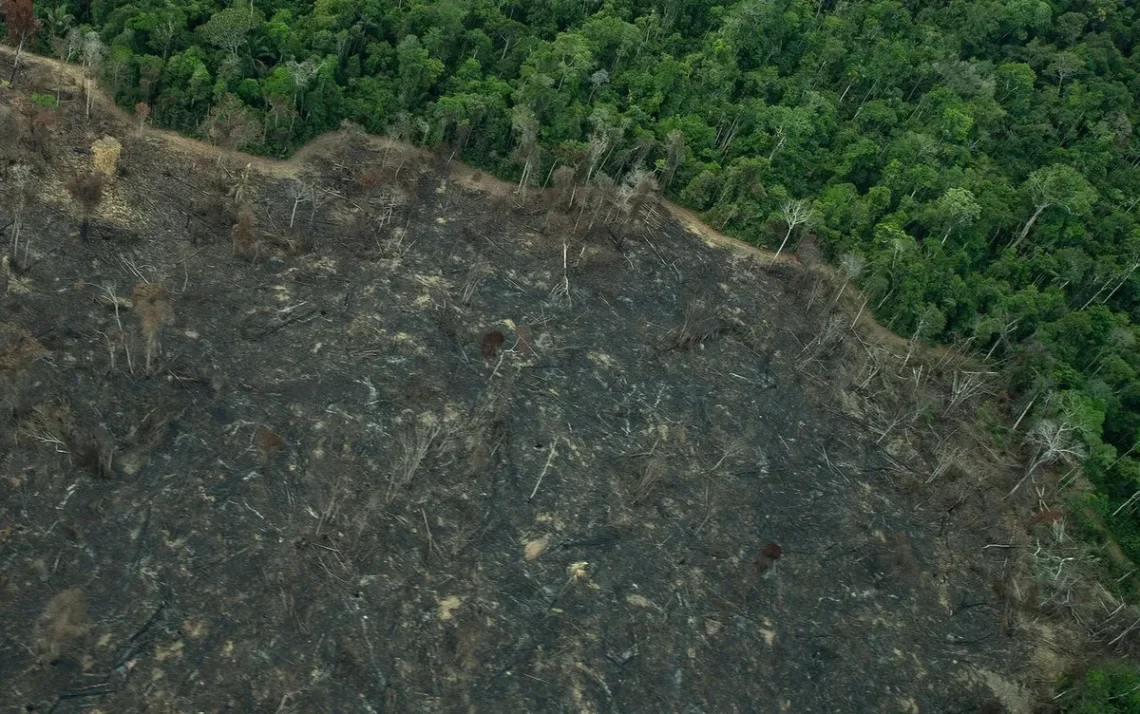 Território Indígena, Reserva Indígena, Área Indígena;