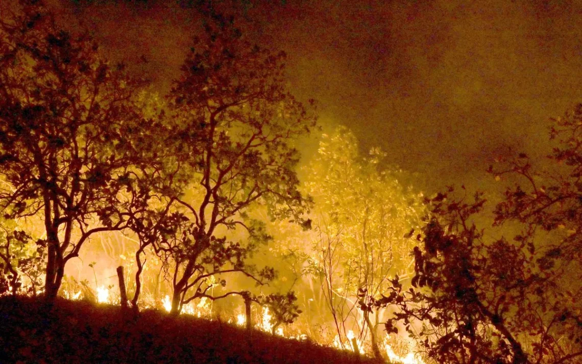 incêndios, focos, queimadas, chamas;