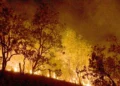 incêndios, focos, queimadas, chamas;