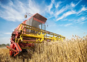 Agricultura, Setor Produtivo, Setor Econômico;